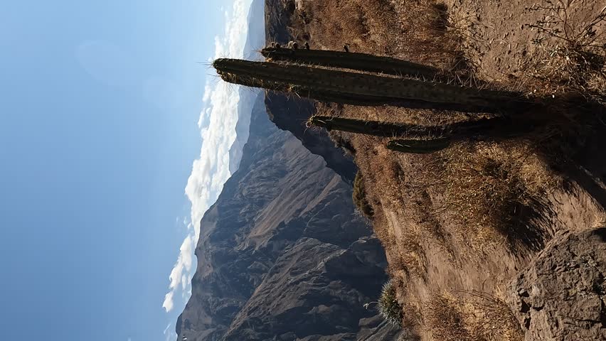 View of Colca Canyon, Peru	
