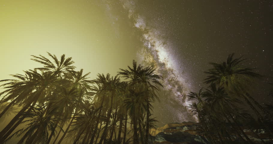 Under a starry sky, the bright Milky Way stretches above silhouetted palm trees in a tranquil desert. The scene captures the beauty of nature and the cosmos in one breathtaking view.