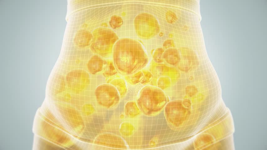 Lose weight, burn belly fat, reduce waist circumference, make obese people healthier, fitness and body shaping, 3D animation.