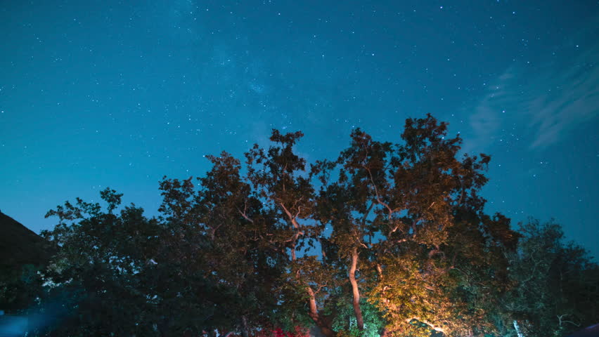 Malibu Star Trails Above Busy Sycamore Camp Astrophotography Night Sky Time Lapse Santa Monica Mountain California USA