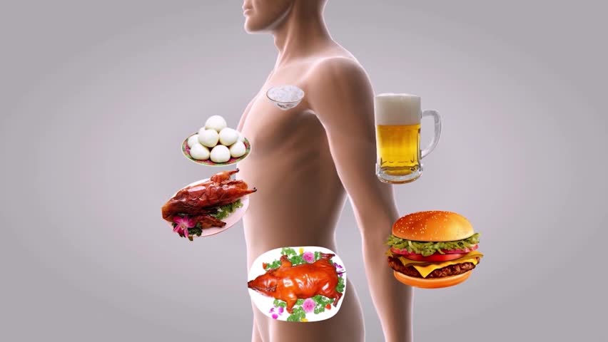 Junk food, human body fat and thin before and after comparison, obesity animation, fat gain and accumulation, 3D animation.
