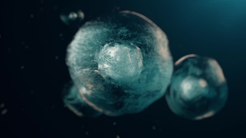 Stem cells dividing under the microscope. Cell division or cloning cells. Cloning close up. Mitosis in process.3d Animation	