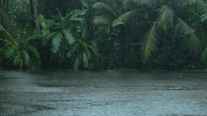 Due to the influence of the southwest monsoon, various parts of India experience heavy rainfall during the monsoon season.