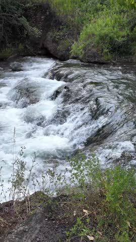 Rushing White Water Rapids Flowing Through Lush Green Wilderness in British Columbia, Canada