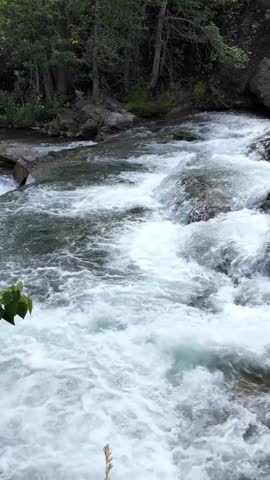 Majestic River Rapids Flowing Through Lush Green Wilderness in Beautiful British Columbia, Canada