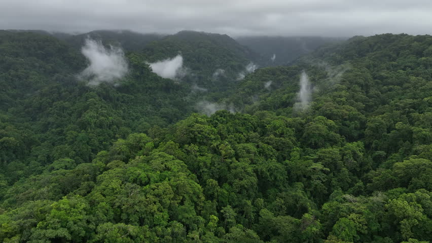 Early morning aerial views over the Kolombangara Rainforest in the Solomon Islands