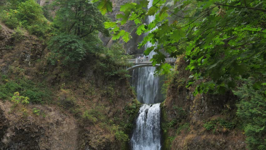 Multnomah Falls in the Columbia River Gorge with the Benson Bridge crossing over the waterfall. Lush greenery surrounds the falls, making it a popular spot for visitors and nature lovers.