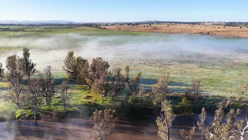 Drone glides above a mist-covered pond and grassy field in Tamworth, Australia, revealing tranquil morning light, sparse trees, and wide rural landscape