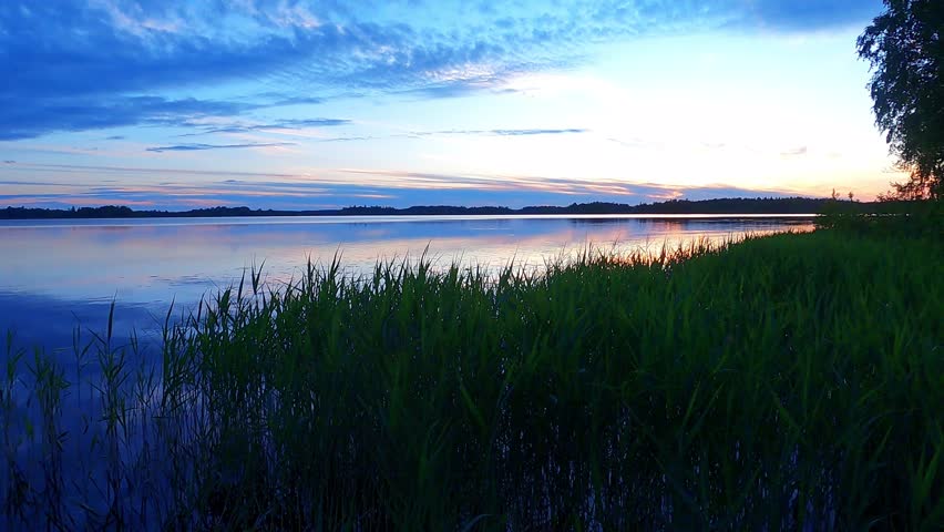 The view of the calm water on the lake at sunset in the Swedish countryside. The sky is very colorful at sunset. Long grass grows at the shoreline by the lake.