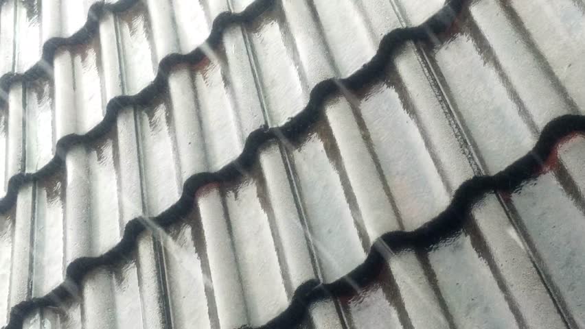 Raindrops fell on the gray concrete roof.