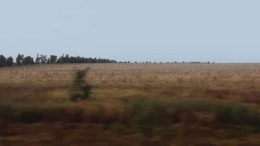 View from the train window to nature, rye on the field and the sky. Beautiful flat landscape, countryside