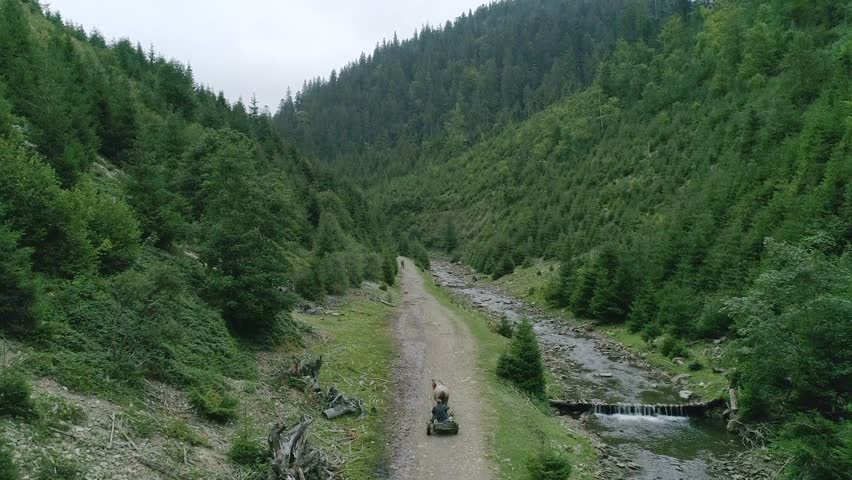 Village cart on country road surround green wood and trees, countryside landscape nature, carriage and transportation
