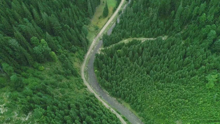 Small narrow road in mountain area surround green wood, green forest trees, winding curve scenic, nature landscape