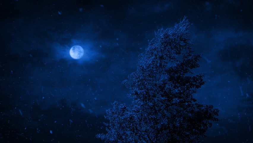 Tree In Snow And Wind On Stormy Night