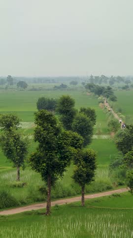 Natural Beauty and Beautiful Landscape in Pakistan, a beautiful green destination.