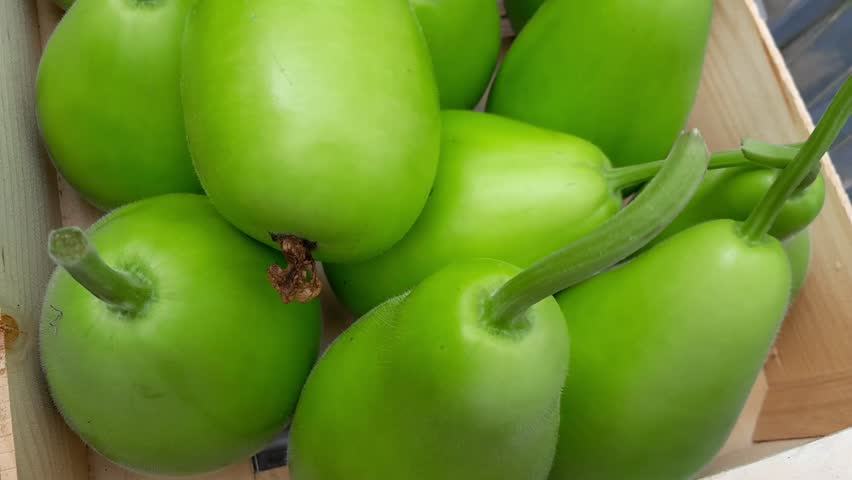 Bottle gourd vegetables video footage. Calabash green vegetable healthy nutritional raw food. 