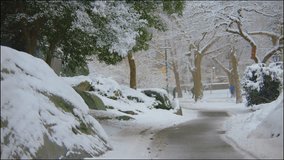 Footage shows a snow-blanketed path in Central Park, NYC, surrounded by trees and lampposts, offering a peaceful view of the park during winter. - Powered by Shutterstock - Get 15% off with code: PIKWIZARD15