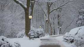 Footage captures a snow-covered path in Central Park, NYC, lined with benches, trees, and classic lampposts, as snowfall gently falls across the frame. - Powered by Shutterstock - Get 15% off with code: PIKWIZARD15