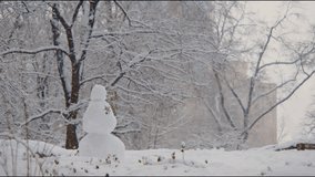 The Footage shows a snowman in NYC Central Park during winter, with freshly fallen snow on the ground and on surrounding trees. A cheerful winter scene - Powered by Shutterstock - Get 15% off with code: PIKWIZARD15