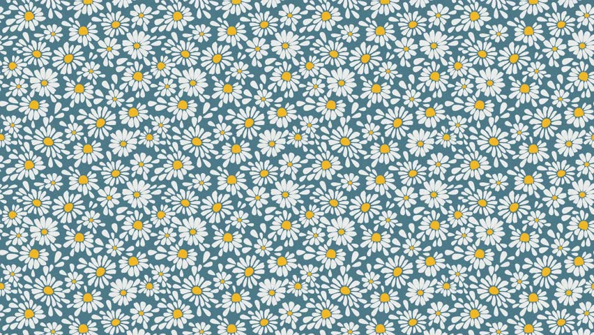 Seamless floral pattern video with camomiles and white petals on blue background. Could be used as wallpaper or background for any content, loops continuously. 