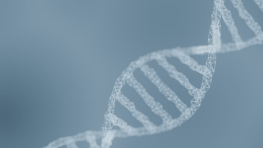 Abstract Digital Wireframe DNA Double Helix Structure for Genetics, Biotechnology, Molecular Science, Innovation in Medical and Biological. Seamless loop background. Created using non-AI 3d software  - Powered by Shutterstock - Get 15% off with code: PIKWIZARD15