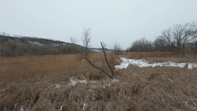 Drone flies through branches of a dead tree onto a frozen wetland with snow-covered reeds and icy winter plants, creating a serene winter landscape near Dupo, Illinois. - Powered by Shutterstock - Get 15% off with code: PIKWIZARD15