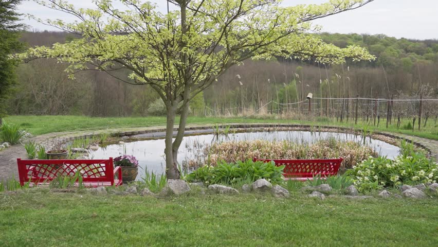 Red garden benches under a blooming tree by a small pond in spring