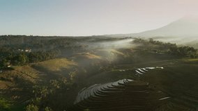 Early morning drone footage captures Belimbing Rice Terrace with shimmering paddies reflecting golden sunlight, while gentle mist drifts across a majestic mountain backdrop in Bali. - Powered by Shutterstock - Get 15% off with code: PIKWIZARD15