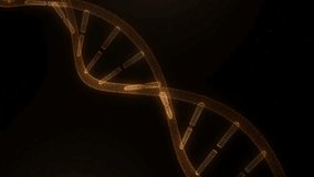 4K Rotating Digital DNA Strand. Futuristic Genetic Structure Animation - Powered by Shutterstock - Get 15% off with code: PIKWIZARD15