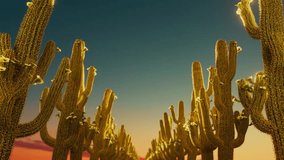 Golden rows of cacti shine under the desert sunset in a seamless loop. Perfect for relaxation, meditation, nature backgrounds, or creative projects. - Powered by Shutterstock - Get 15% off with code: PIKWIZARD15