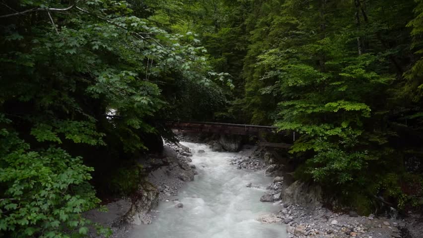 Rushing alpine river flowing through a lush green forest with a wooden bridge in the background, surrounded by mossy rocks and natural sounds of flowing water