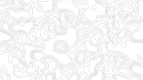 black and white abstract topographic background	 - Powered by Shutterstock - Get 15% off with code: PIKWIZARD15