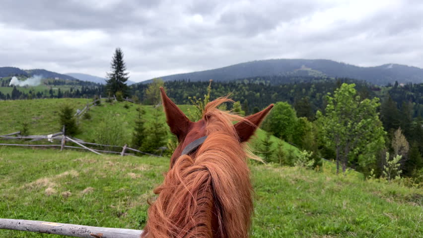 Capture the Essence of Nature: Majestic Horses, Flowing Streams, and Winding Roads Under Cloudy Skies in Lush Green Landscapes