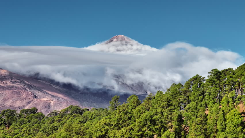 Tenerife, Canary Islands: Volcanic Mountain Teide, mount peak rising above a sea of clouds, surrounded by green forest under blue sky. Travel nature background. Drone footage aerial view panorama
