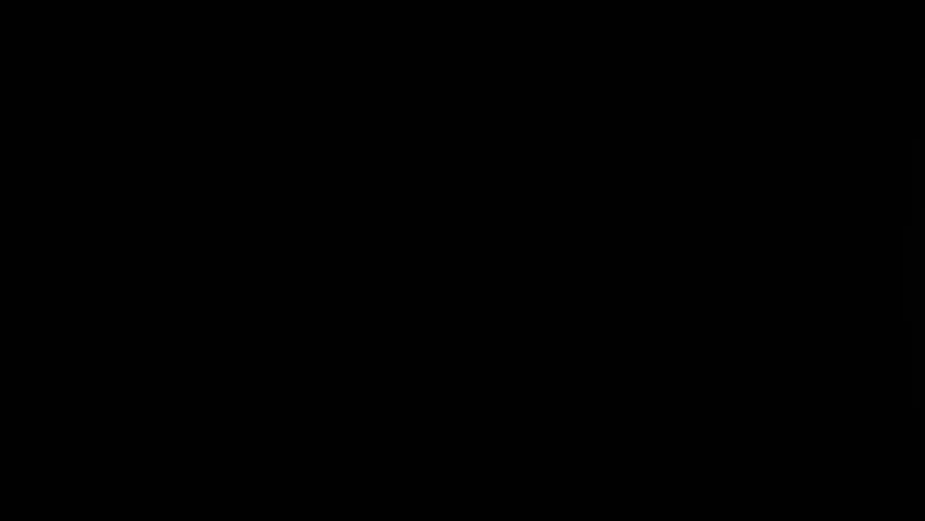 Shutterstock Video