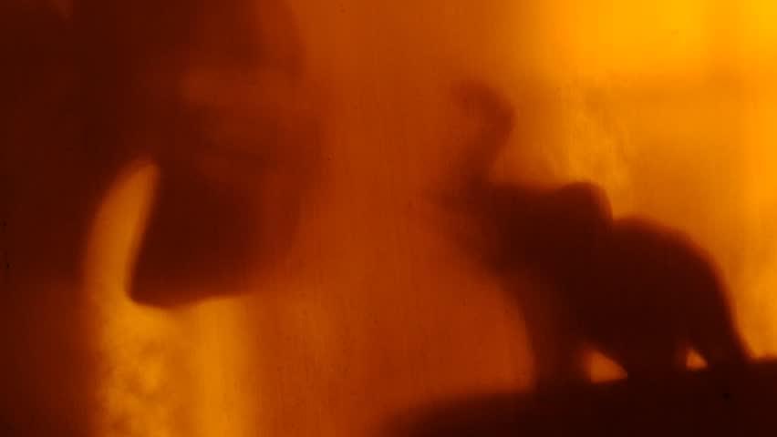 Blurred shadow elephant, tropical plant, jungle on the wall, red orange background, tropical climate, mystery sunset light and fog. Atmosphere mood of journey. Africa, safari, savanna.