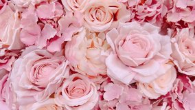 Motion video of pink flower wall, closeup of roses with flowing petals, perfect for nature, decoration, and romantic and wedding wall decor 4k footage. - Powered by Shutterstock - Get 15% off with code: PIKWIZARD15