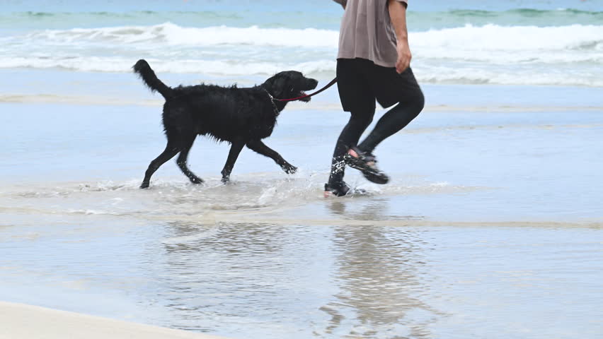 Man running with his dog on the beach  Image of an active dog owner without a face