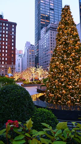 See NYC's festive lights. Bright holiday lights illuminate trees in a bustling New York City park, showcasing the festive spirit of the season.
