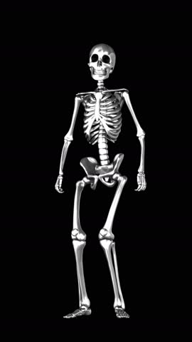 Futuristic Seamless vertical video animation of a silver skeleton. Chrome metal elegant background of dancing skeleton isolated with copyspace .