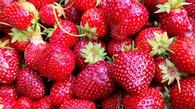 Strawberries fresh berries ripe red sweet fruit dessert dish gourmet food background on the table rustic food top view copy space. Juicy berries, healthy food, summer vibe - Powered by Shutterstock - Get 15% off with code: PIKWIZARD15