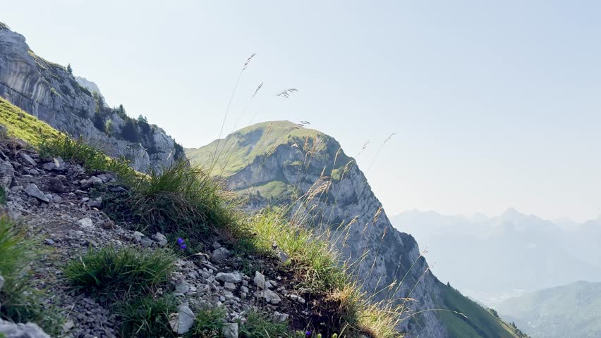 Panoramic view from the base of La Tournette in the French Alps, showcasing rugged mountain peaks, lush alpine greenery, and scenic summer landscape with tranquil natural surroundings