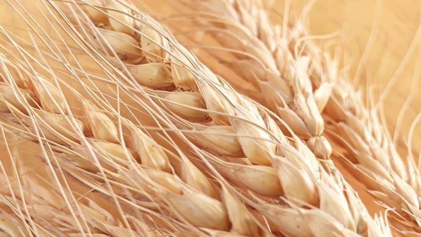 Barley in a wooden bowl