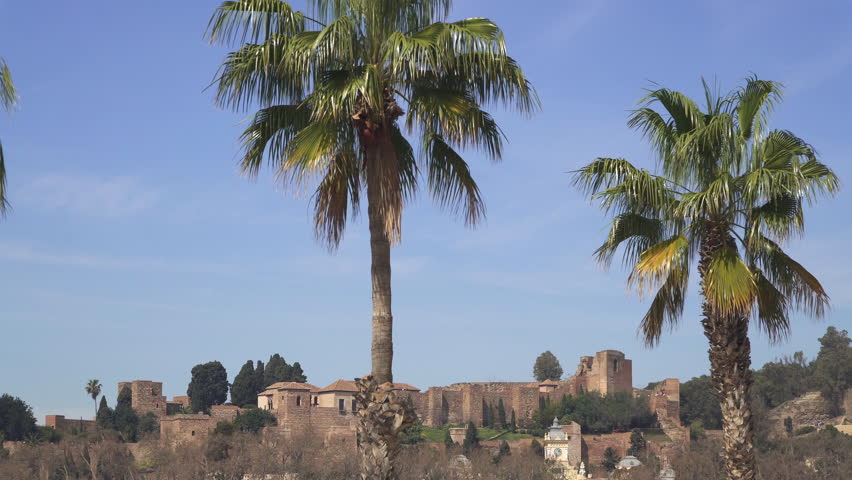 Two palm trees and Alczaba fort in the background, Malaga, Andalusia, Spain
