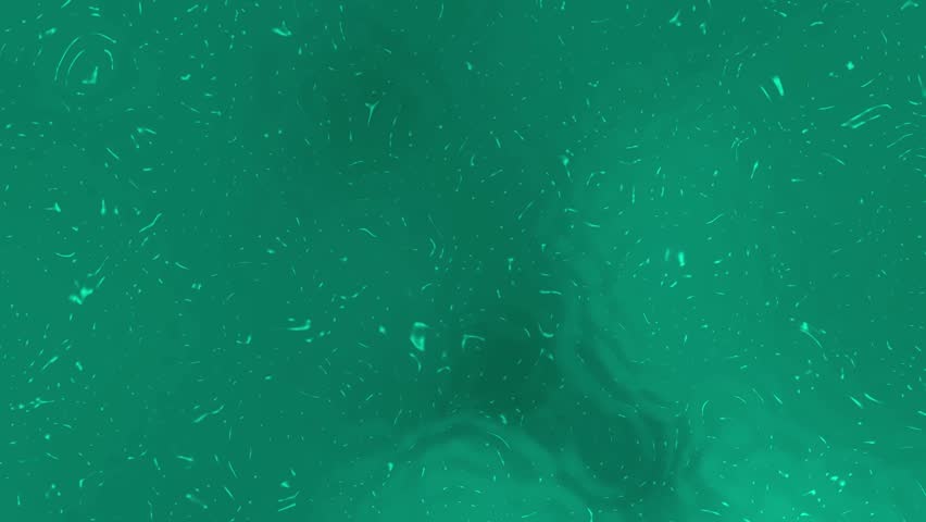 Closeup of green algaefilled water with a dark shape, ideal for environmental conservation projects, nature blogs, science publications, and educational presentations.	
