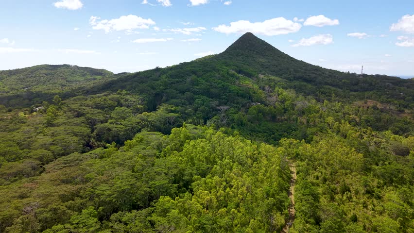 Mauritius Black River Gorges lush rainforest panorama with conical La Tourelle peak and winding trail under bright clouds
