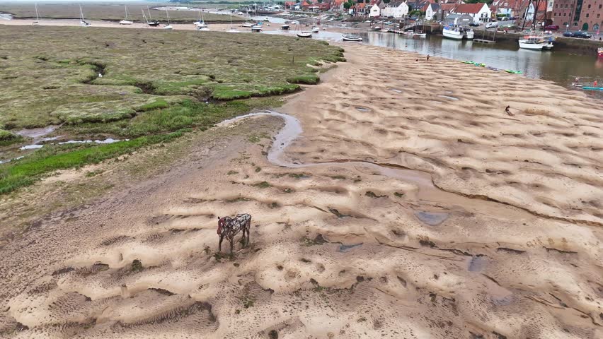 Aerial view of Rachael Long's lifeboat horse on a sandbank in Wells-next-the-Sea, Norfolk. Captured on 13 August 2025.