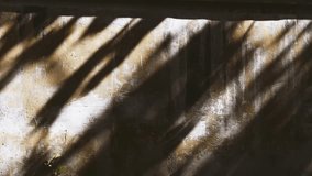 Diagonal contrast shadows cast across a textured wall create a striking contrast of light. Sunlight and shadow create a pattern on a textured vintage wall, with hints of plant life. Natural shot. - Powered by Shutterstock - Get 15% off with code: PIKWIZARD15