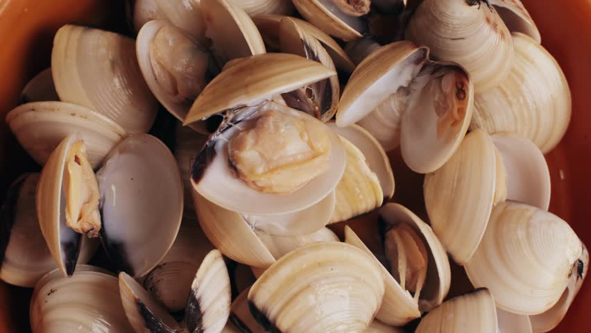 Marinara mussels with garlic, sauce, lemon and parsley. Classic spanish and French meal macro close up.