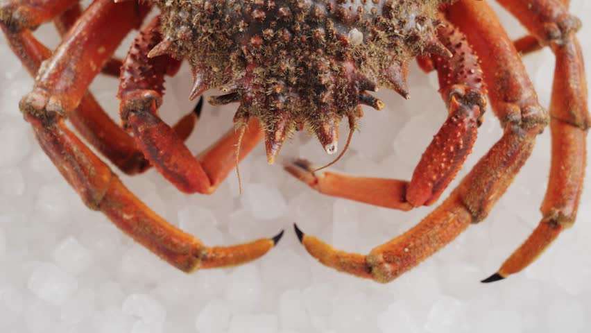 Cooked crabs on ice plate served in restaurante, black slate background, top view.